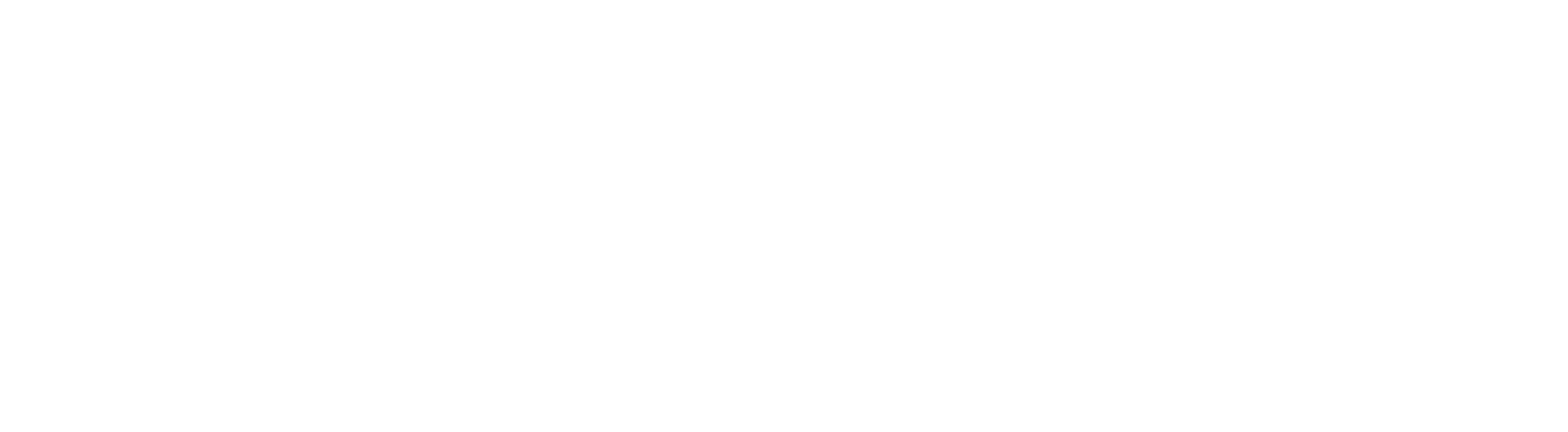 12-Bizbrains_tagline-white_RGB.png