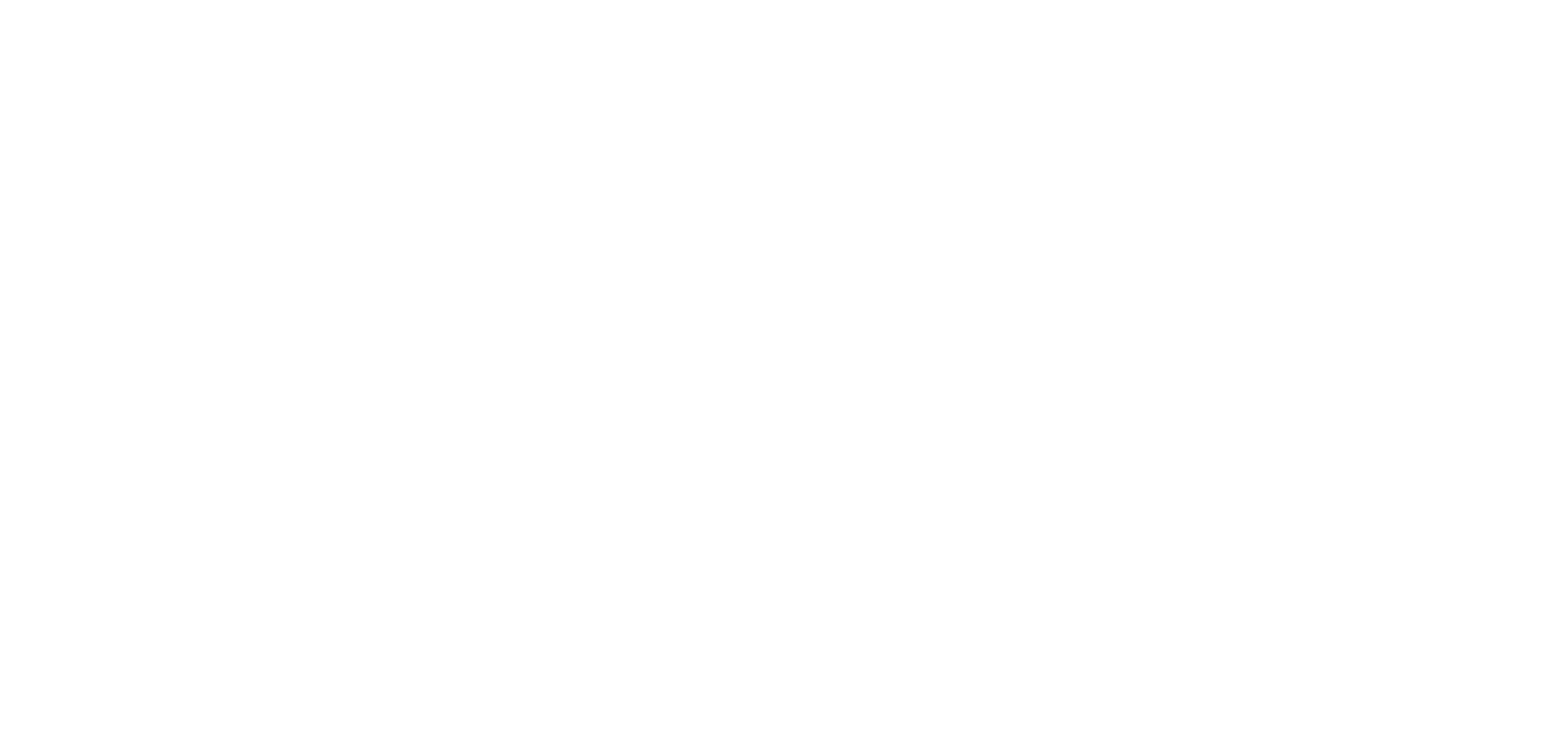 14-Bizbrains_tagline_white_RGB.png